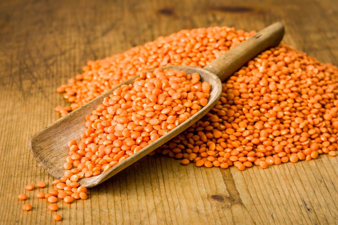 comment cuire des lentilles corail 1
