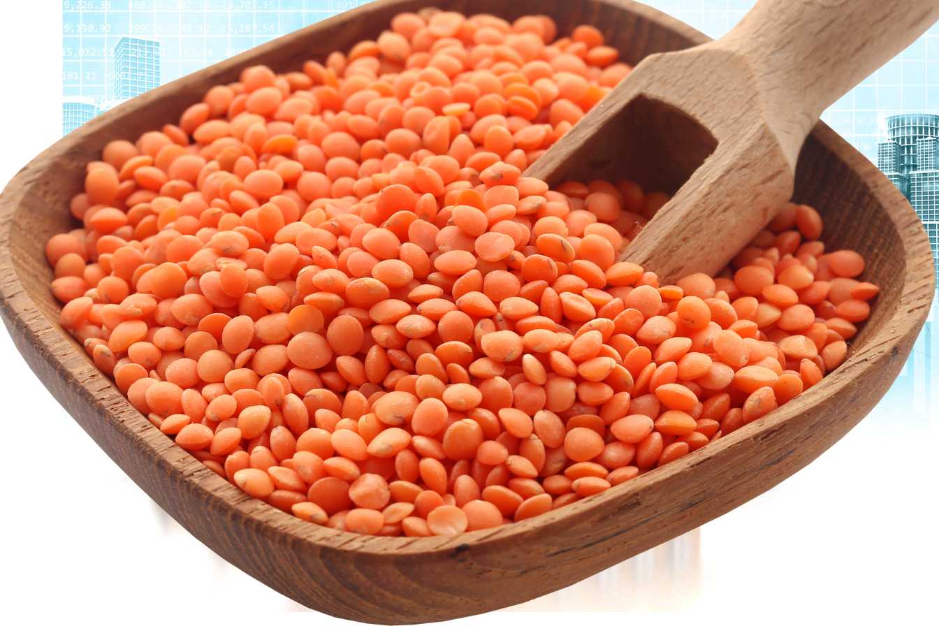 Cuisson Lentilles Corail Astuces Temps De Cuisson Et Recettes Cuisson Lentilles Corail Astuces Temps De Cuisson Et Recettes