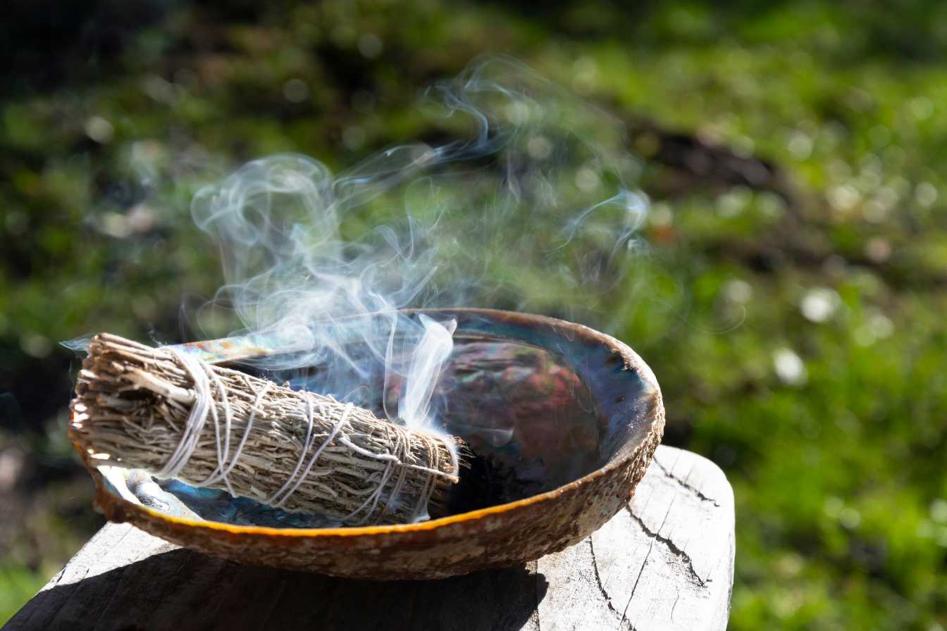 sauge-blanche-bienfaits-utilisation-et-culture-de-cette-plante-sacree-2