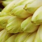 temps de cuisson endives a la vapeur guide complet 1