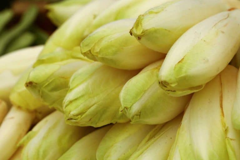 temps de cuisson endives a la vapeur guide complet 1