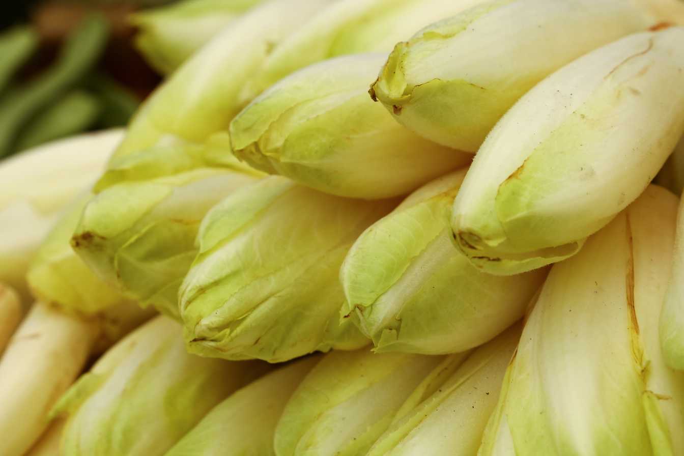 temps de cuisson endives a la vapeur guide complet 1